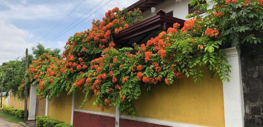 කඩවත පිහිටි දෙමහල් නිවස සමග ඉඩම